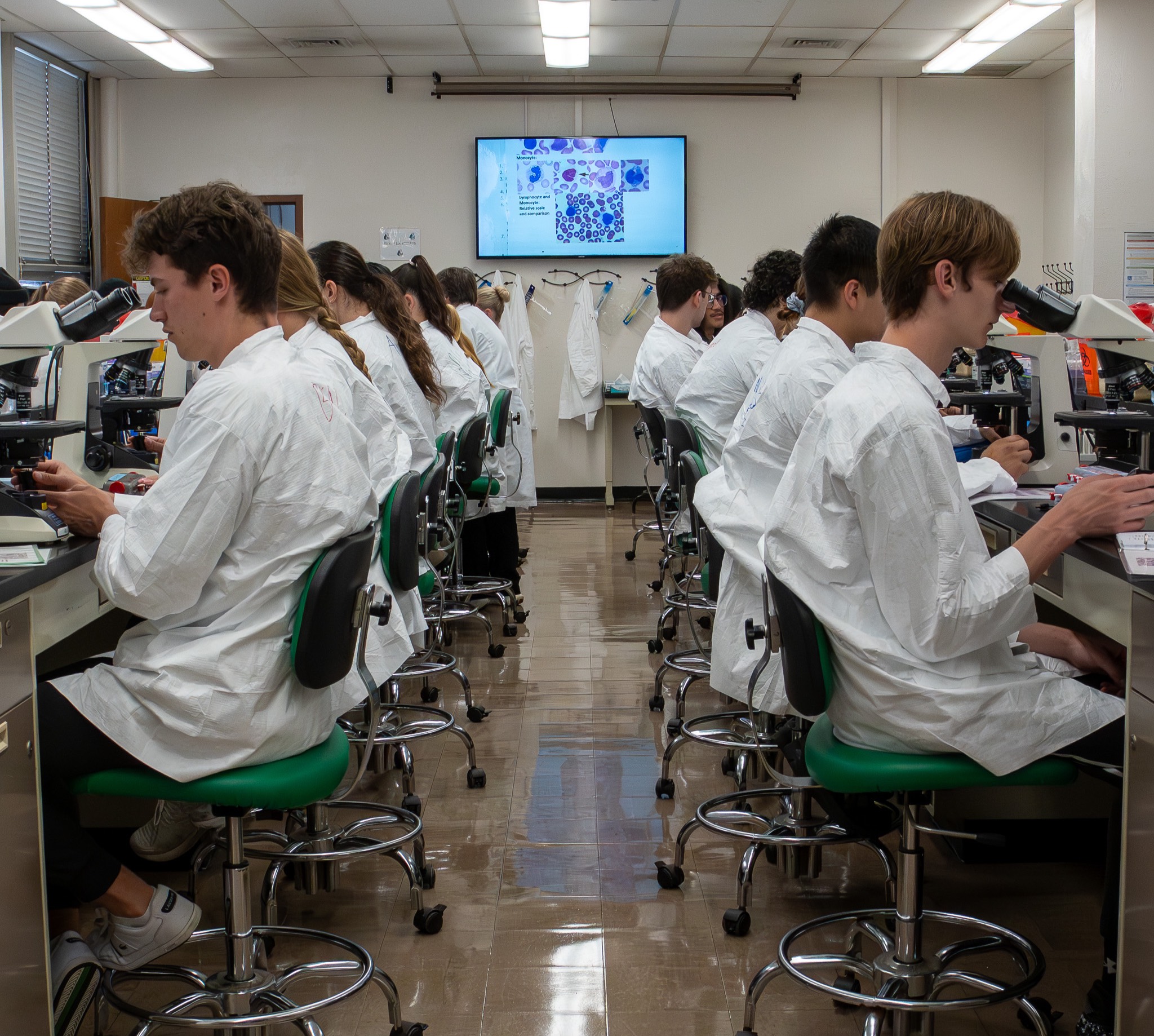 Students viewing microscopes in lab.