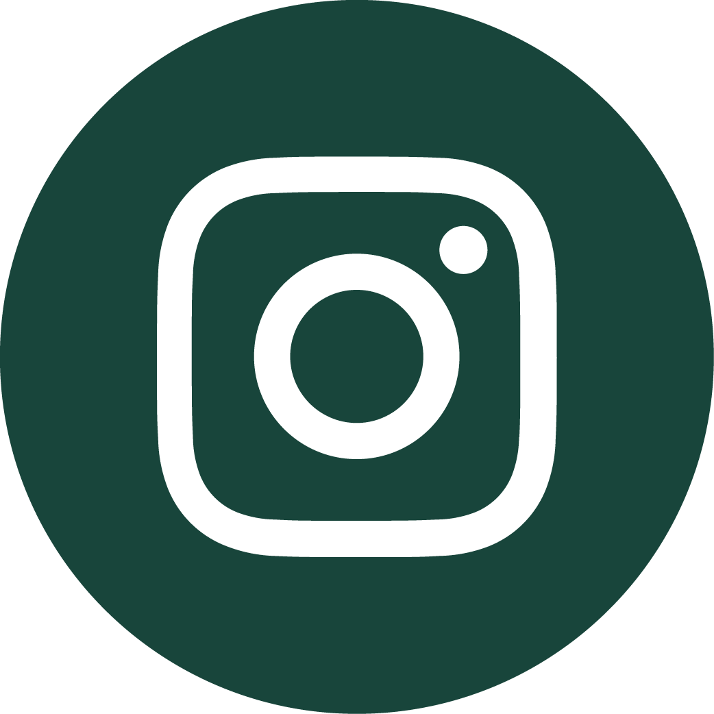 Instagram Icon